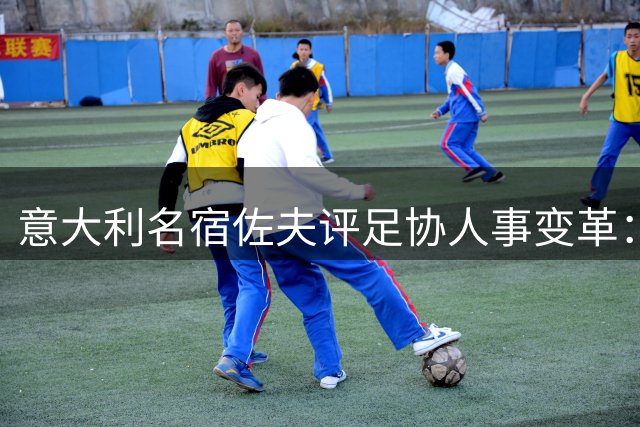 意大利名宿佐夫评足协人事变革：权责模糊埋隐患